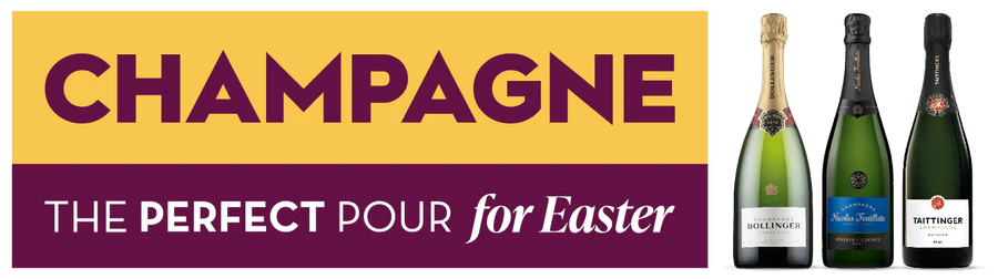 Elevate Your Every Pour